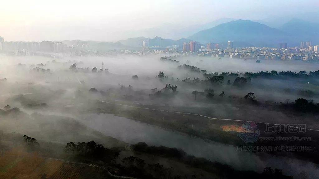 深夜盗窃私家车!永年公安速破一起盗窃机动车案