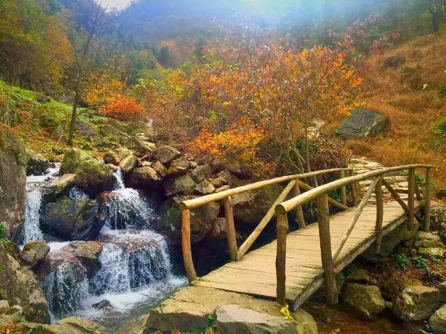 脑洞小老弟无实名认证